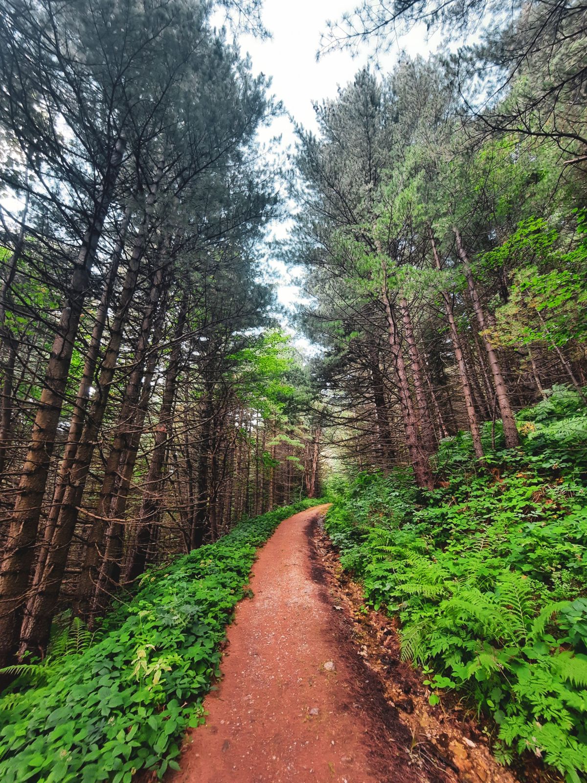 Brezovice – Prevalle Trail, High Scardus Trail — gallery photo