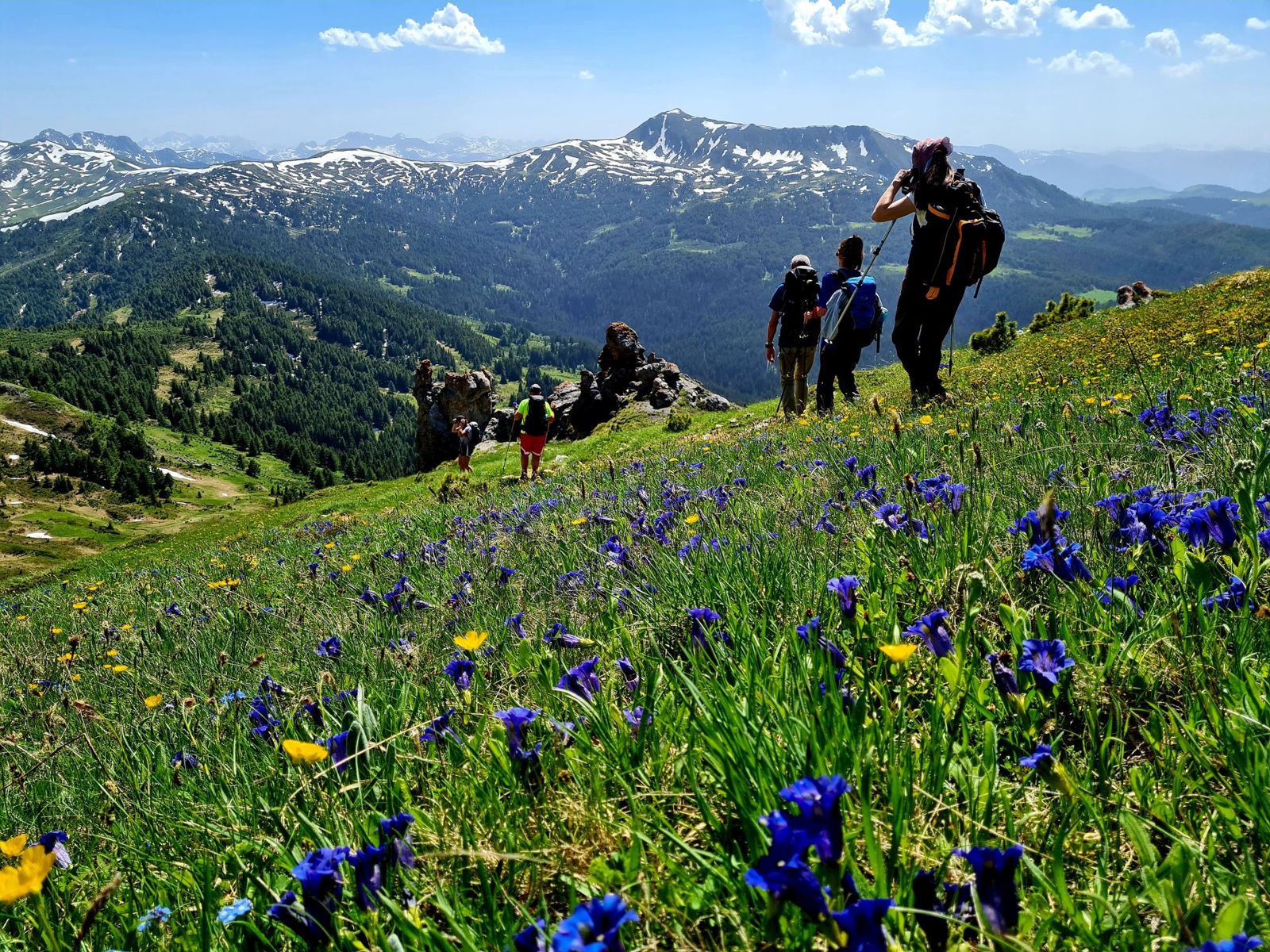 Hiking in Accursed Mountains, National Park — gallery photo