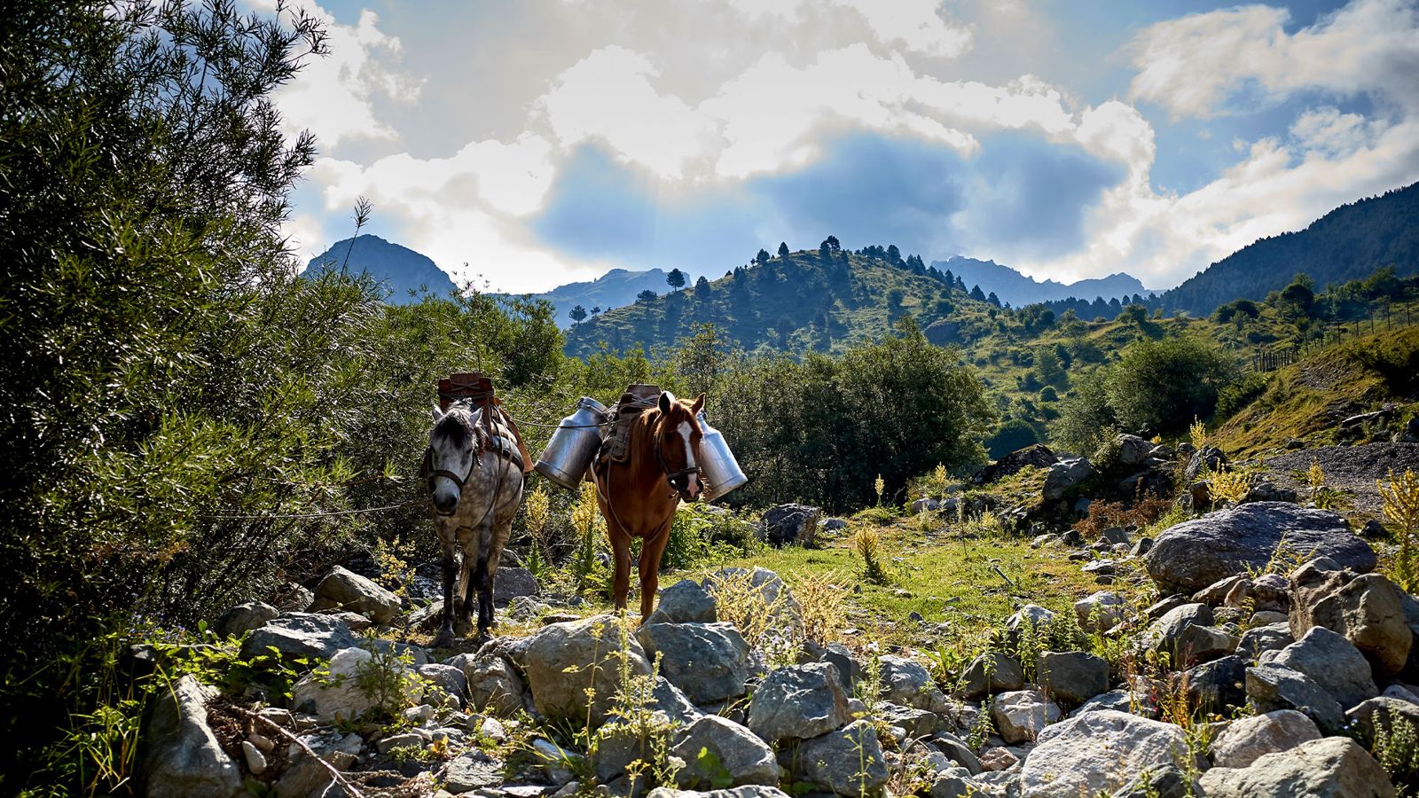 Kosovo/Albania: 8 days – Mountain-bike tracks — gallery photo