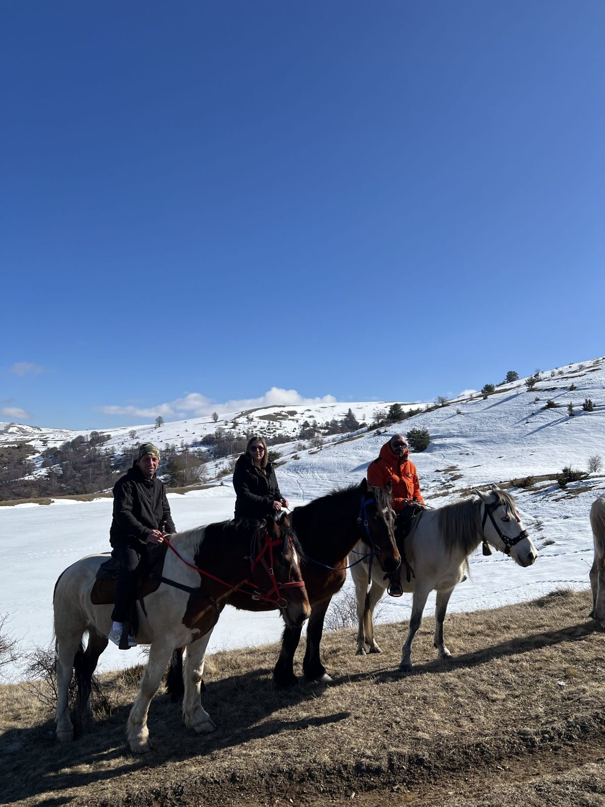 Golden Hoof Kalin Kamen – Horseback Adventures in Nature — gallery photo